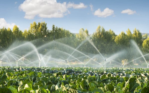 farm-field-irrigation-small